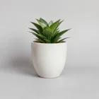 Ceramic Plant Pot