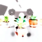 Ceramic Plant Pots Set