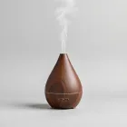 Essential Oil Diffuser