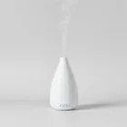 Essential Oil Diffuser
