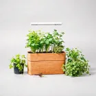 Indoor Herb Garden Kit