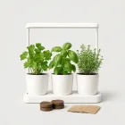 Indoor Herb Garden Kit