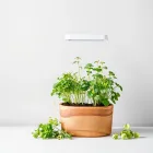 Indoor Herb Garden Kit