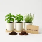 Indoor Herb Garden Kit