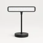 Indoor Plant Grow Light