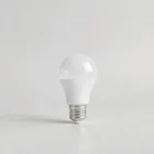 Smart LED Light Bulb
